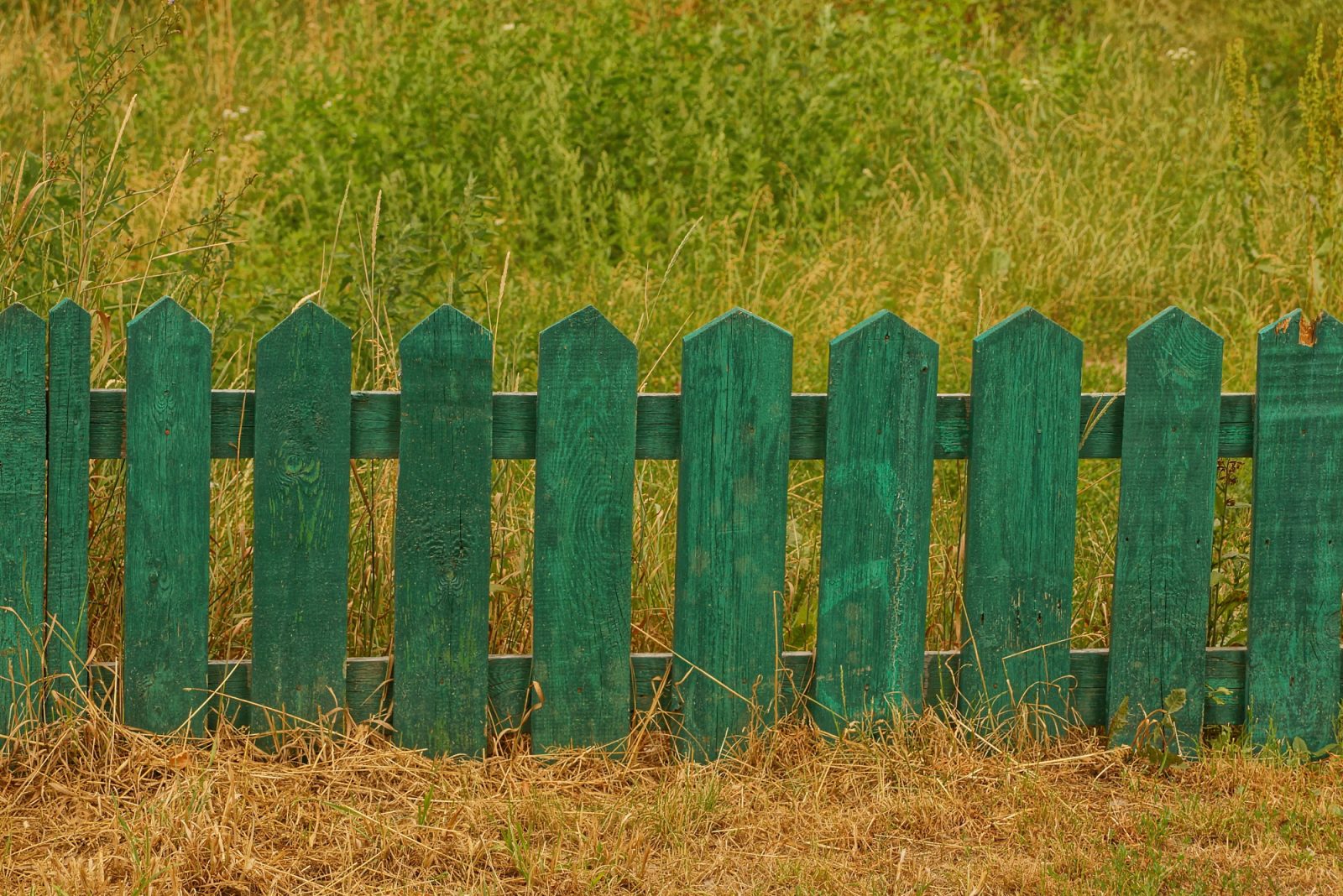 Kako so vrtne ograje skozi zgodovino postale več kot le zaščita pridelkov?